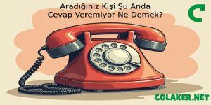 Aradığınız Kişi Şu Anda Telefona Cevap Veremiyor Ne Demek?