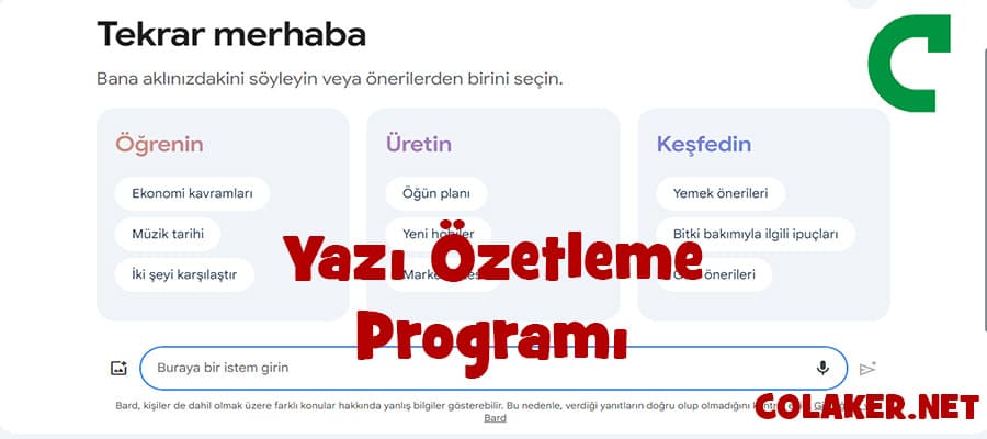 Yazı Özetleme Programı.